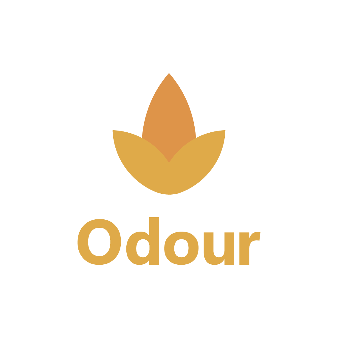 odour tiktok
